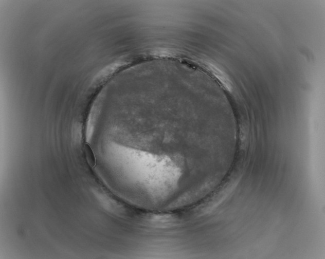 X0000113860401200910081710