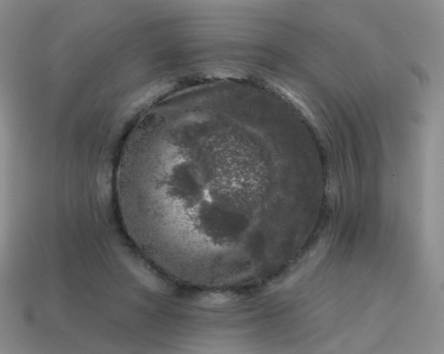 X0000113860402200910081710