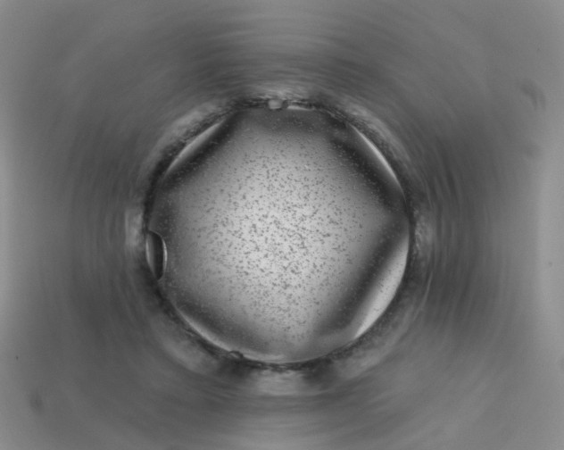 X0000113860403200910081710