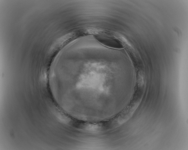 X0000113860405200910081710