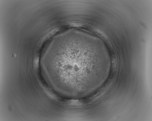 X0000113860406200910081710