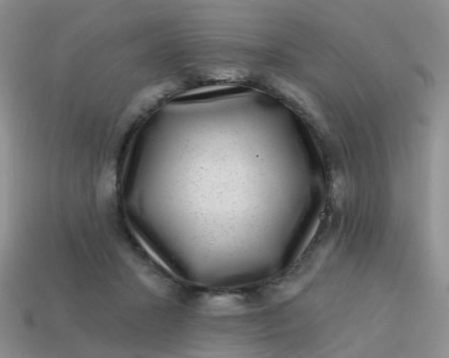 X0000113860407200910081710