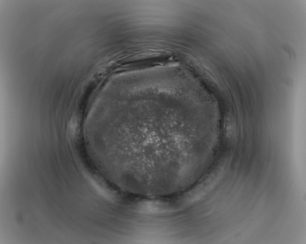 X0000113860408200910081710