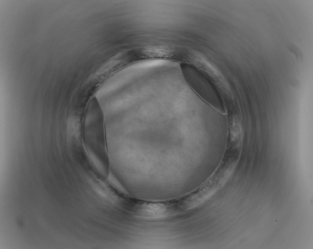 X0000113860409200910081710