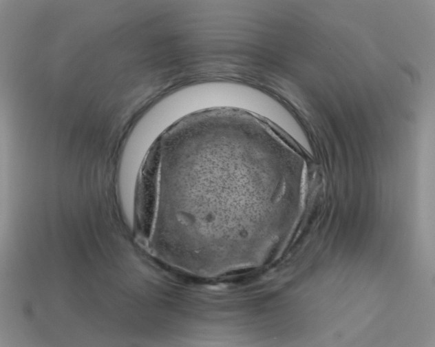 X0000113860411200910081710