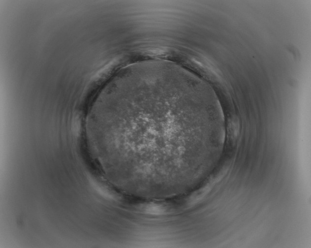 X0000113860412200910081710