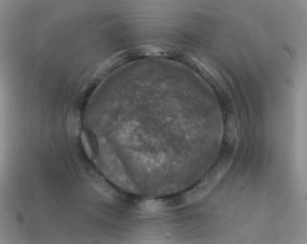 X0000113860413200910081710