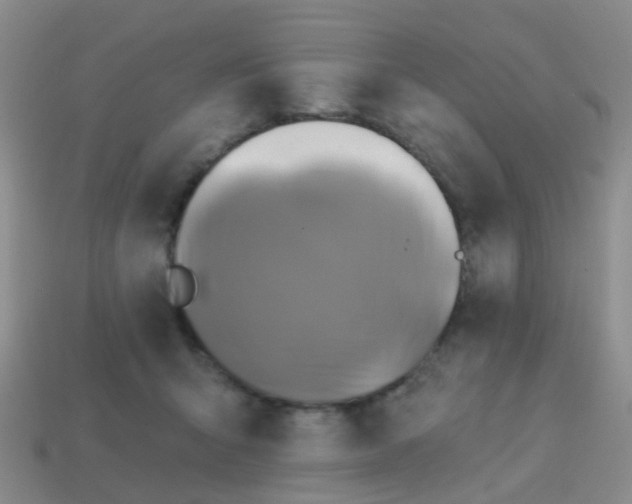 X0000113860415200910081710