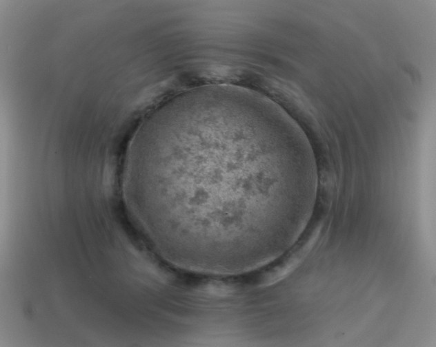 X0000113860416200910081710