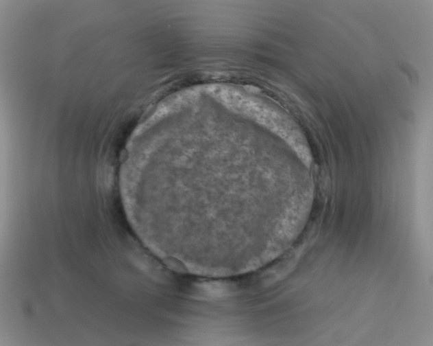 X0000113860417200910081710
