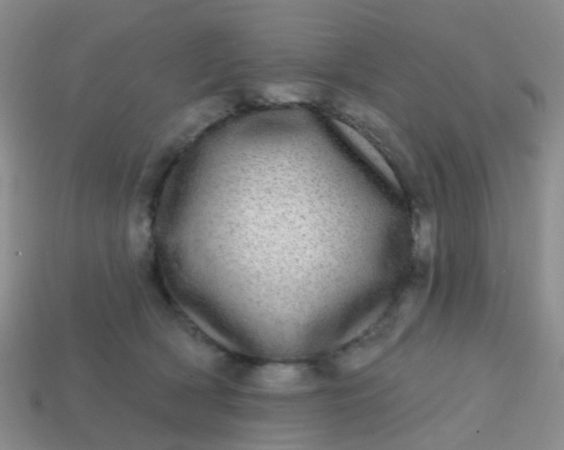 X0000113860418200910081710