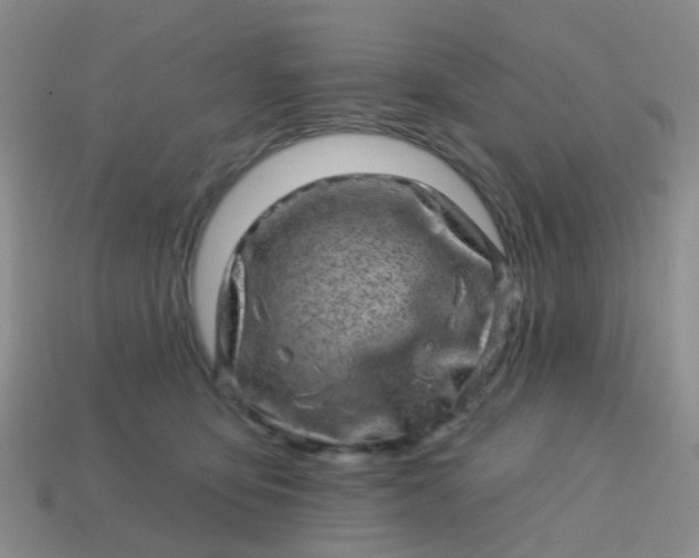 X0000113860419200910081710