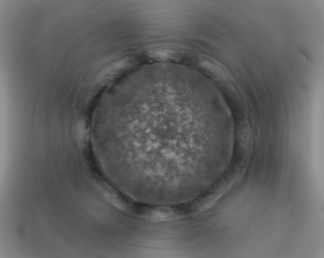 X0000113860420200910081710