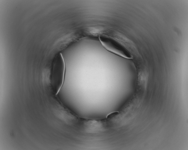 X0000113860421200910081710