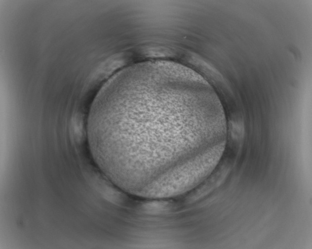 X0000113860422200910081710