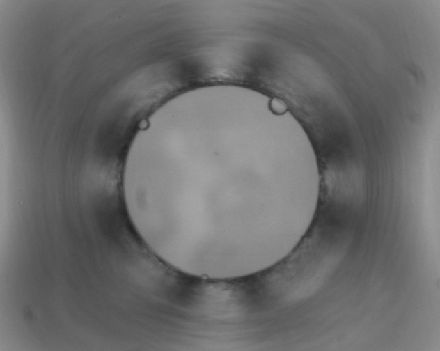 X0000113860423200910081710