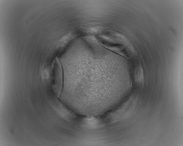 X0000113860425200910081710