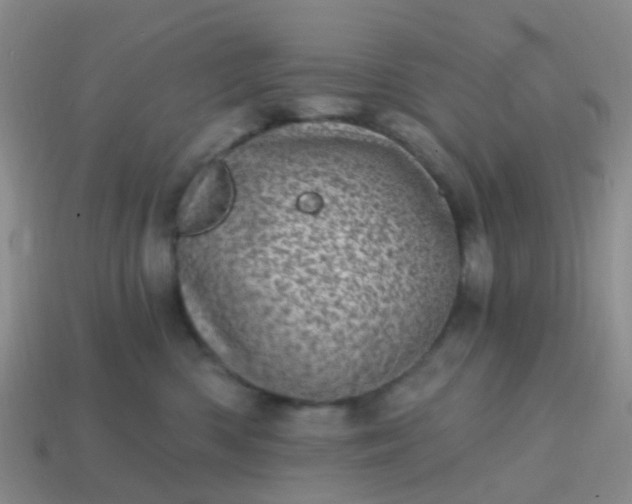 X0000113860426200910081710