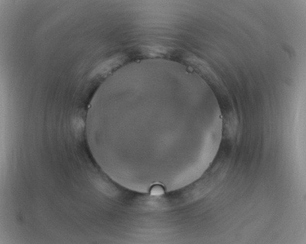 X0000113860427200910081710