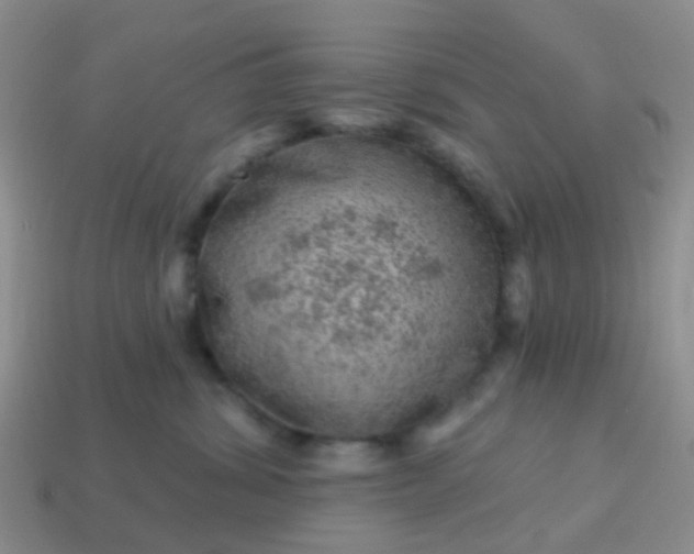 X0000113860428200910081710
