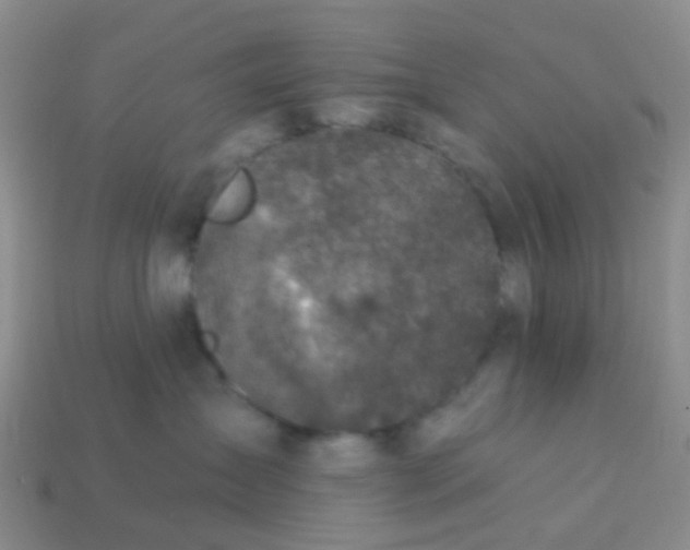 X0000113860431200910081710
