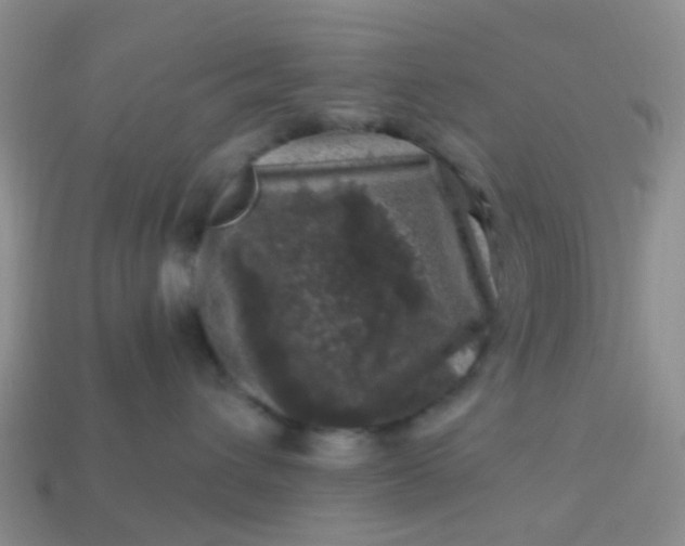 X0000113860432200910081710