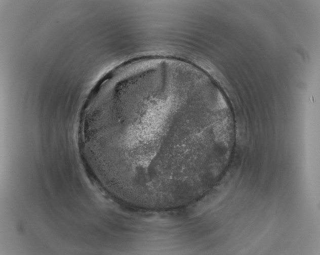 X0000113860434200910081709