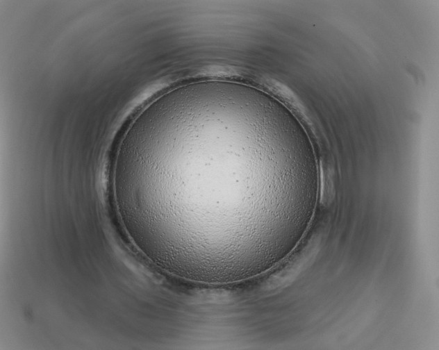 X0000113860435200910081709