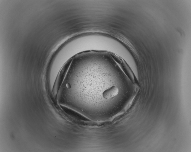 X0000113860436200910081709