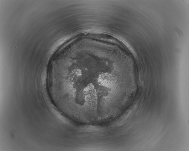 X0000113860437200910081709