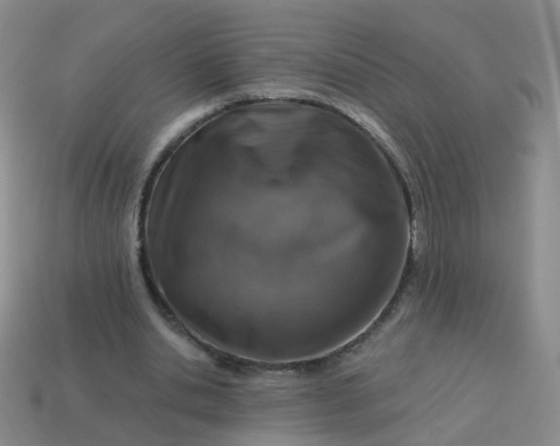 X0000113860438200910081709