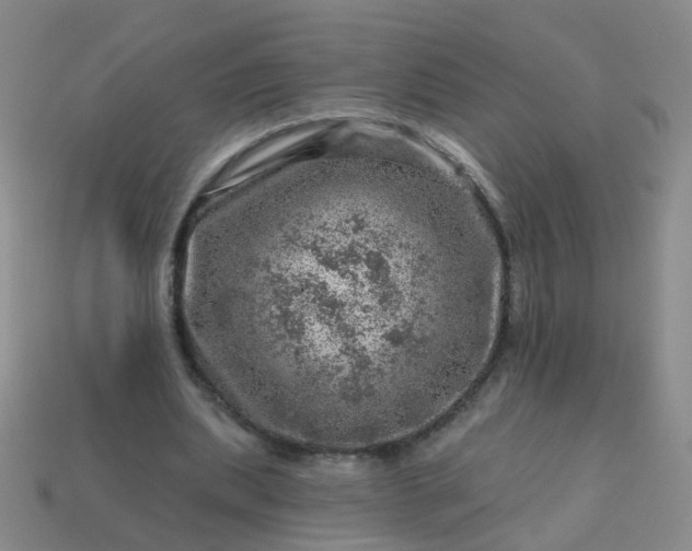 X0000113860439200910081709