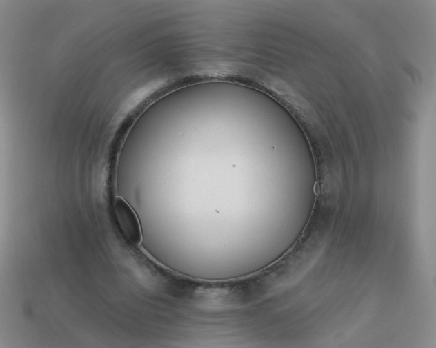 X0000113860440200910081709