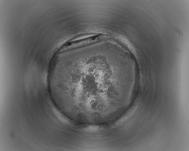 X0000113860441200910081709