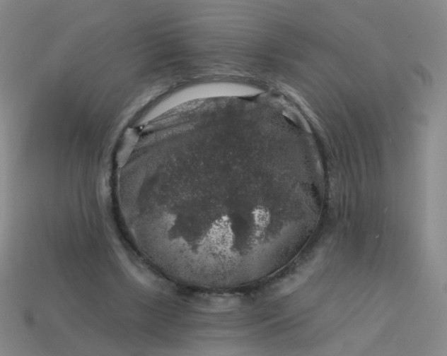 X0000113860443200910081709