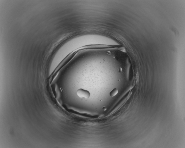 X0000113860444200910081709