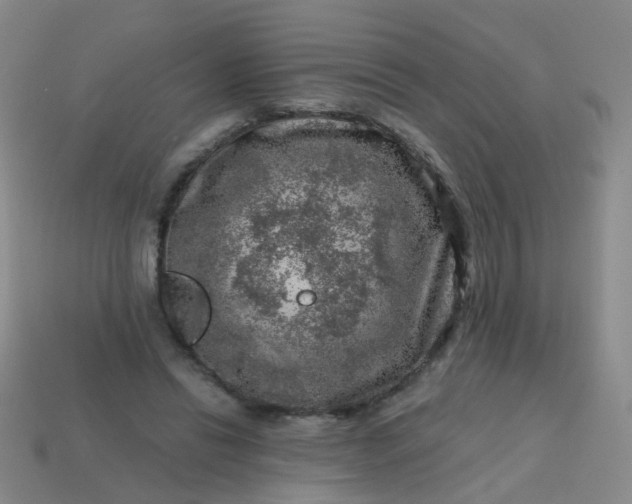 X0000113860446200910081709