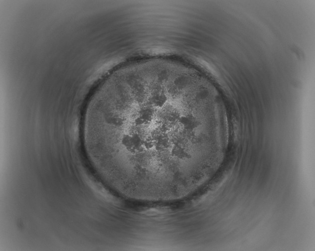 X0000113860447200910081709