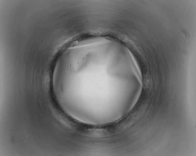 X0000113860448200910081709