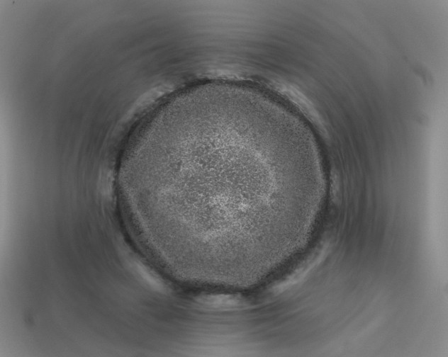 X0000113860449200910081709