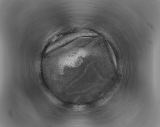 X0000113860450200910081709