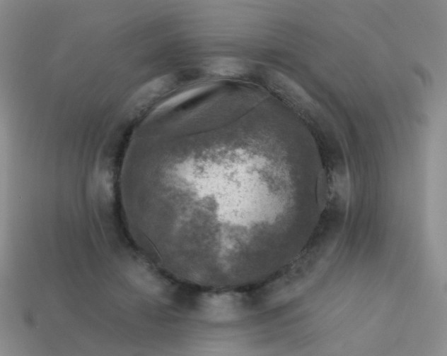 X0000113860452200910081709
