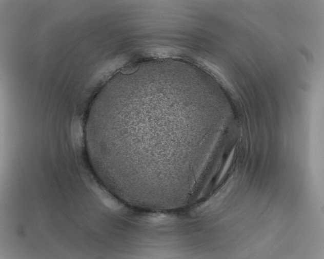 X0000113860453200910081709