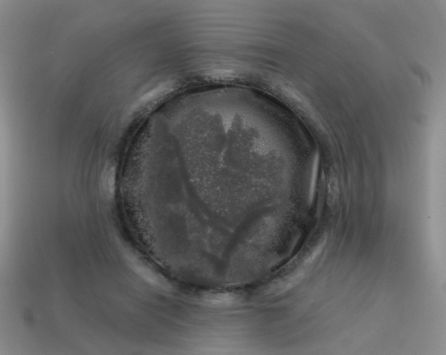 X0000113860454200910081709