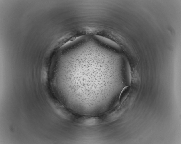 X0000113860456200910081709