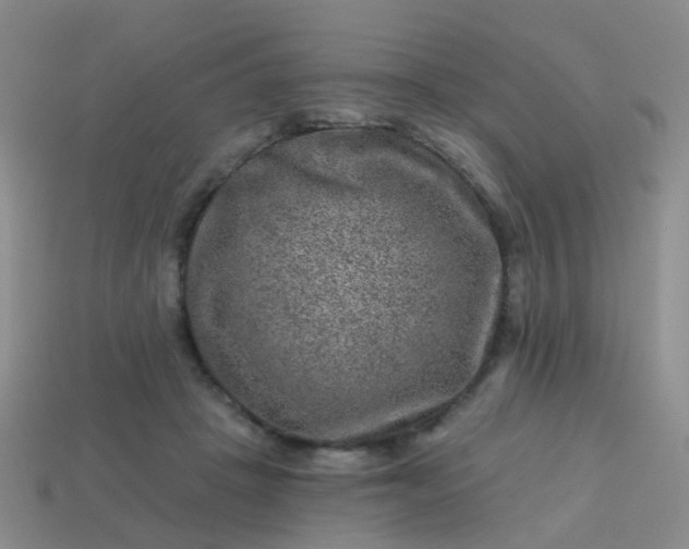 X0000113860457200910081709