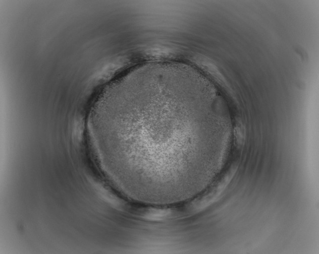 X0000113860458200910081709