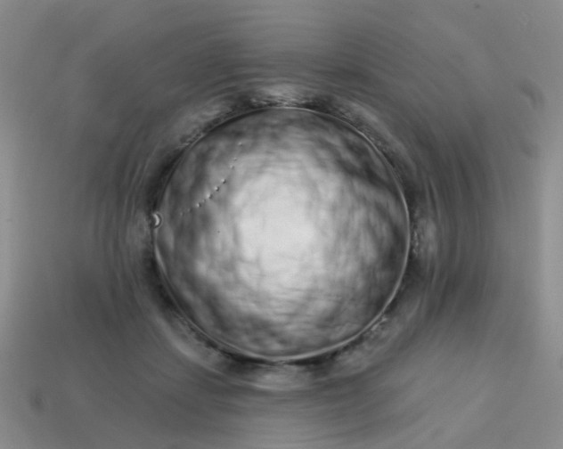 X0000113860459200910081709