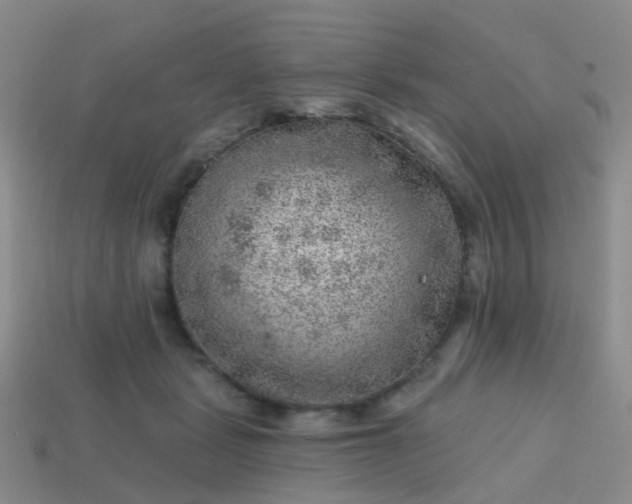 X0000113860461200910081710