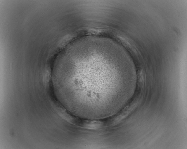 X0000113860463200910081710